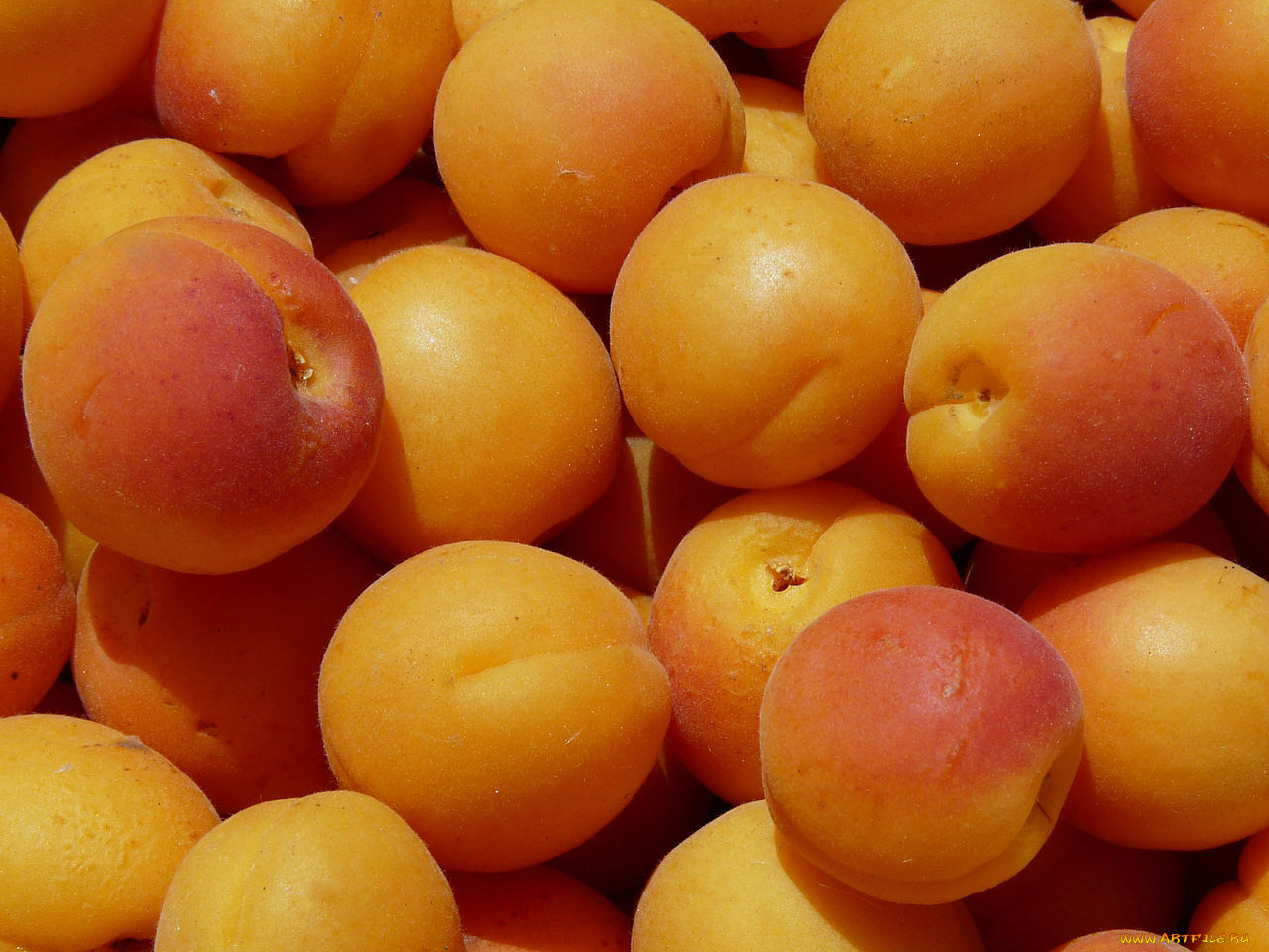 Нектарины абрикосы персики сливы